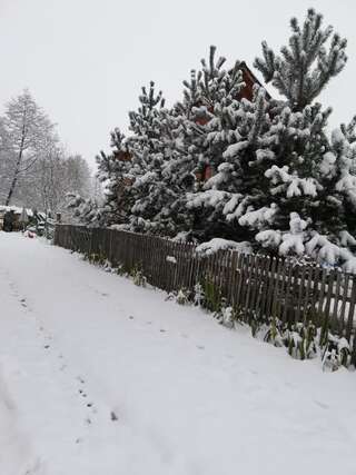 Дома для отпуска Casa Jasmin Бран Дом для отпуска-116