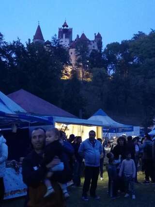 Дома для отпуска Casa Jasmin Бран Дом для отпуска-122